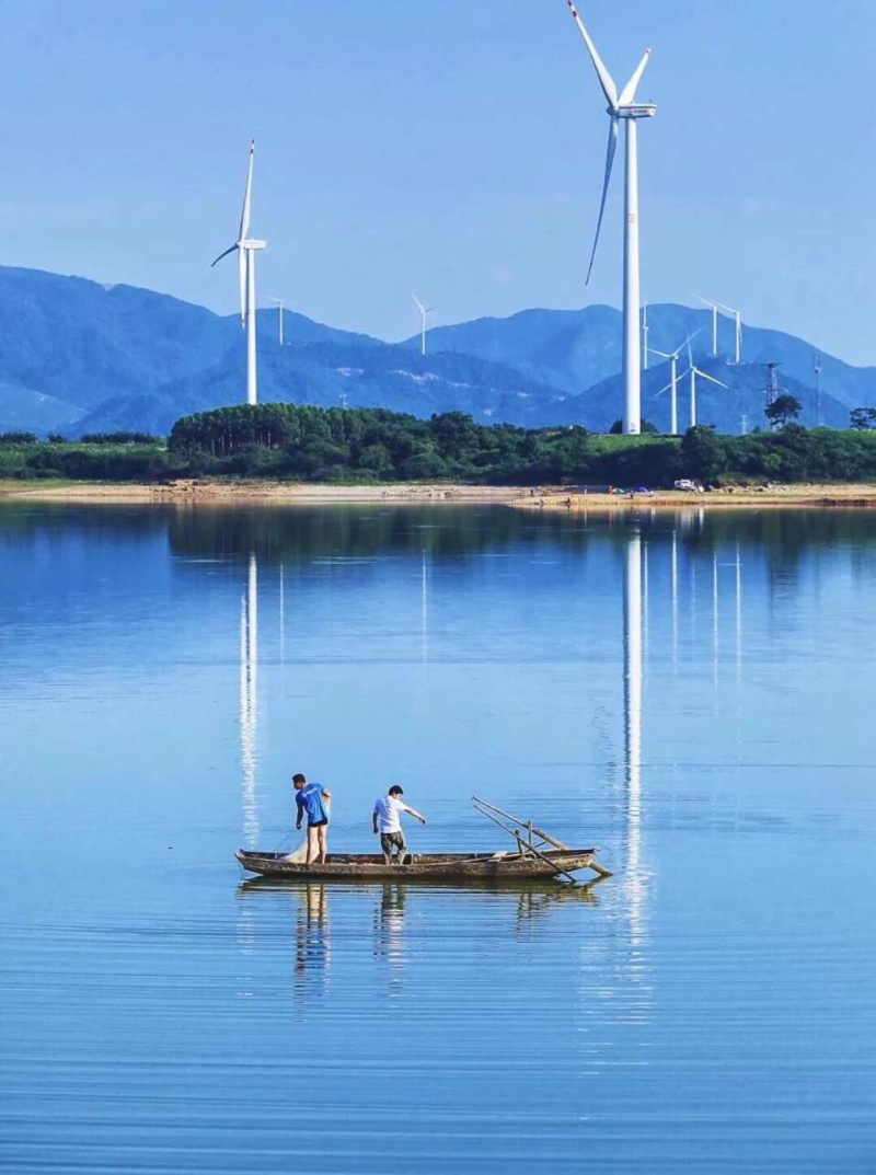 广西碧西湖龟鱼水库野蓝刀鱼新鲜小鲜鱼