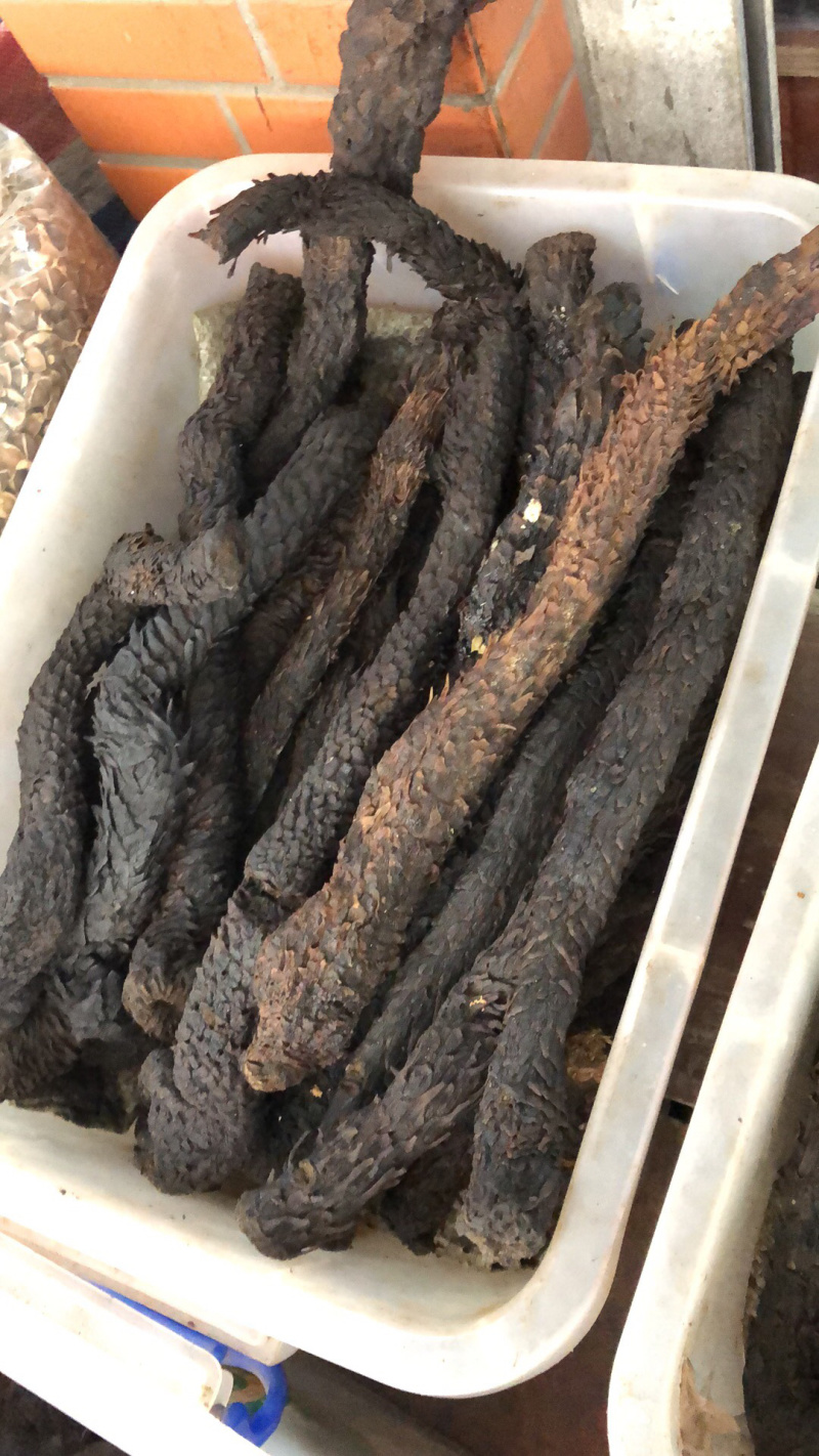 中药材新货新疆肉丛蓉条子切片