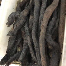 中药材新货新疆肉丛蓉条子切片