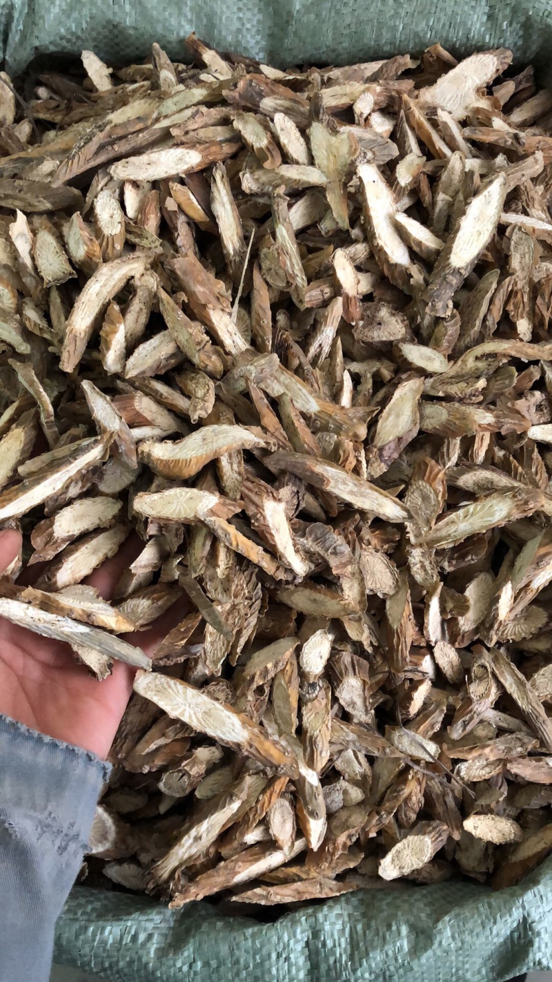 新货宽筋藤大小片型都有货好