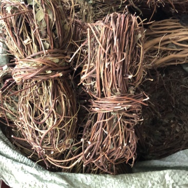 新货广西鸡骨草扎把无硫光杆