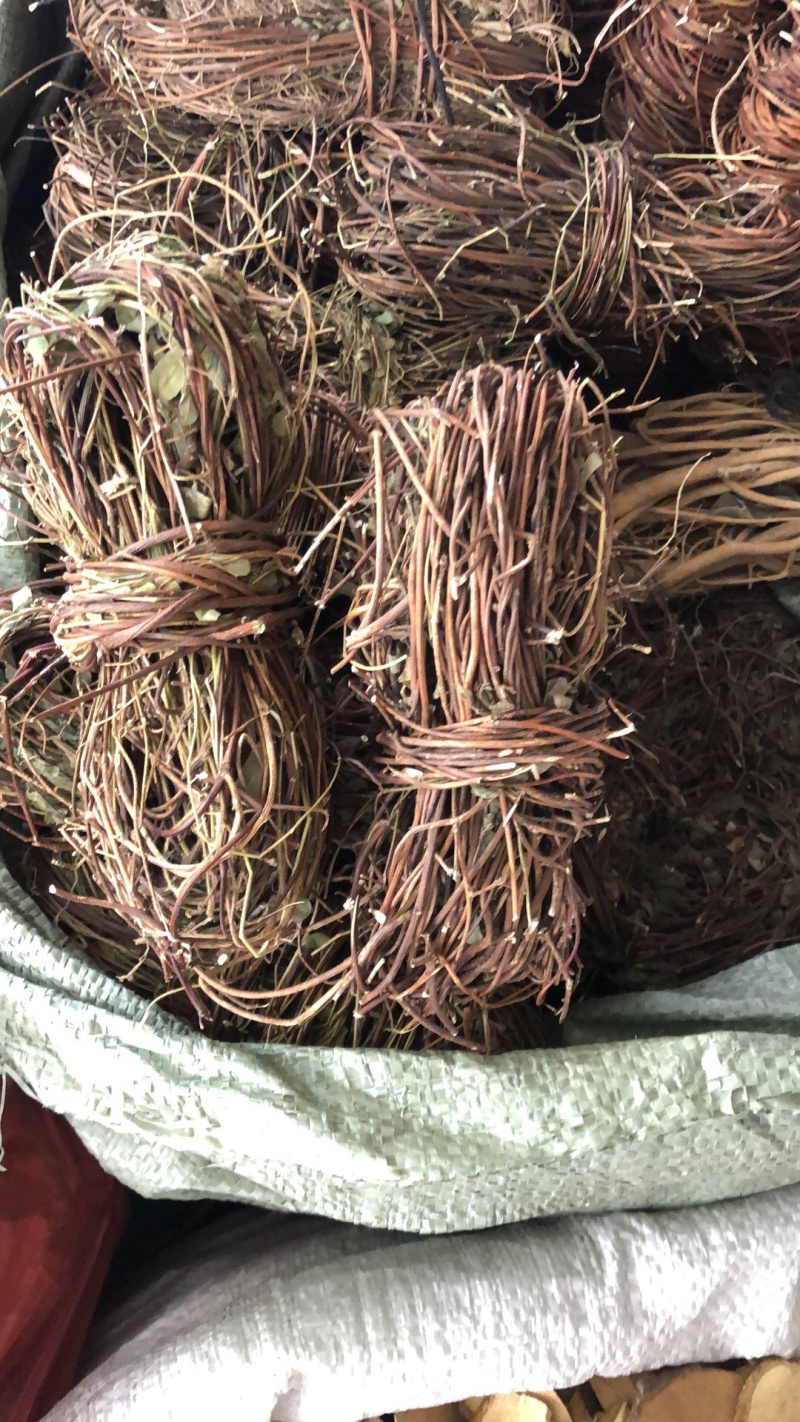 新货广西鸡骨草扎把无硫光杆