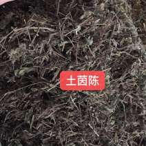 中药材新货土茵陈也叫牛至条子都有