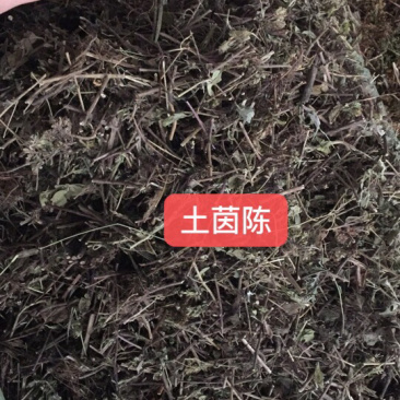 中药材新货土茵陈也叫牛至条子都有