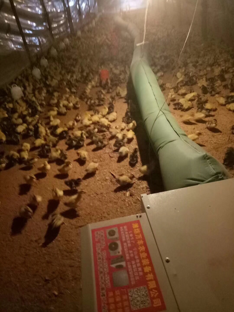 养鸡保温设备猪舍保温设备雏鸡加温设备养殖暖风机