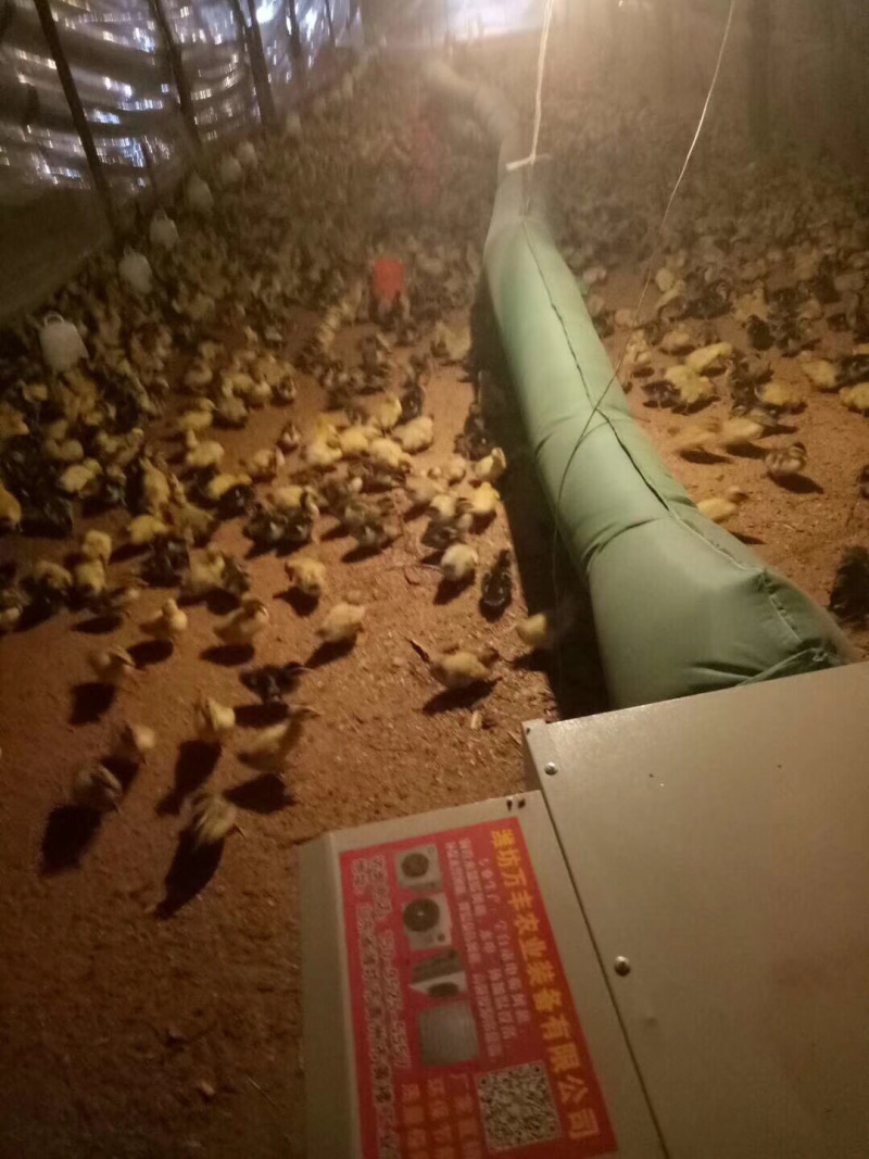 养鸡保温设备猪舍保温设备雏鸡加温设备养殖暖风机
