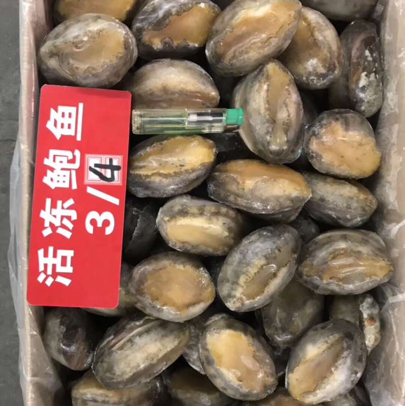 活动鲍鱼规格齐全