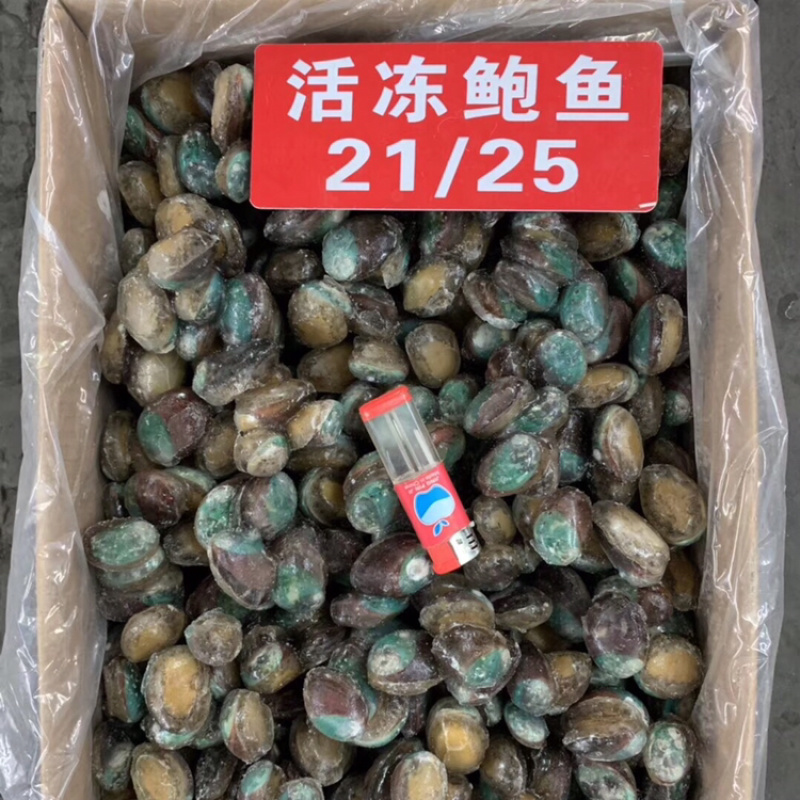 活动鲍鱼规格齐全