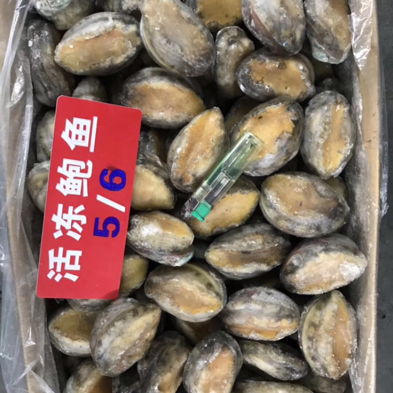 活动鲍鱼规格齐全