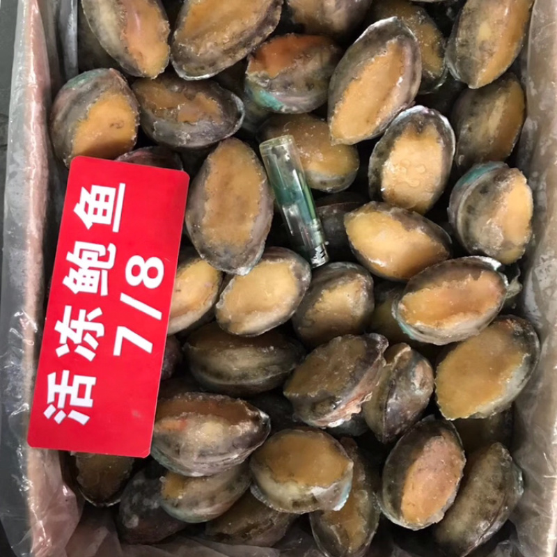 活动鲍鱼规格齐全
