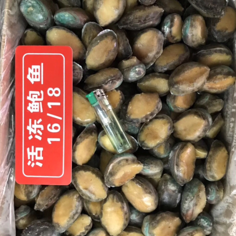 活动鲍鱼规格齐全