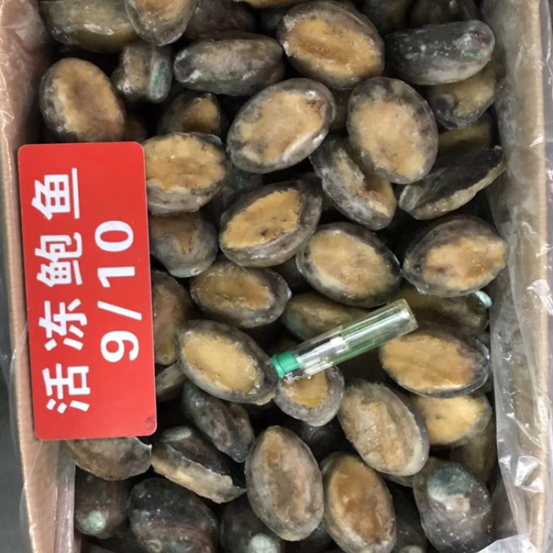 活动鲍鱼规格齐全