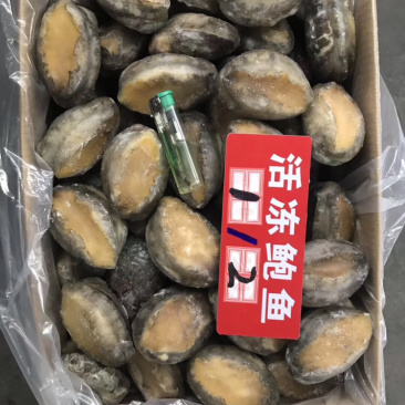 活动鲍鱼规格齐全