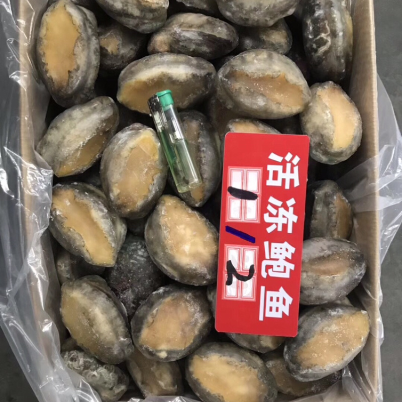活动鲍鱼规格齐全
