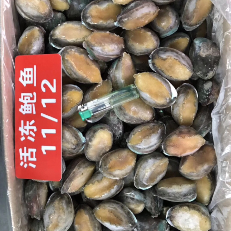 活动鲍鱼规格齐全