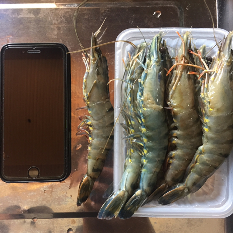 12头10头草虾越南黑虎虾