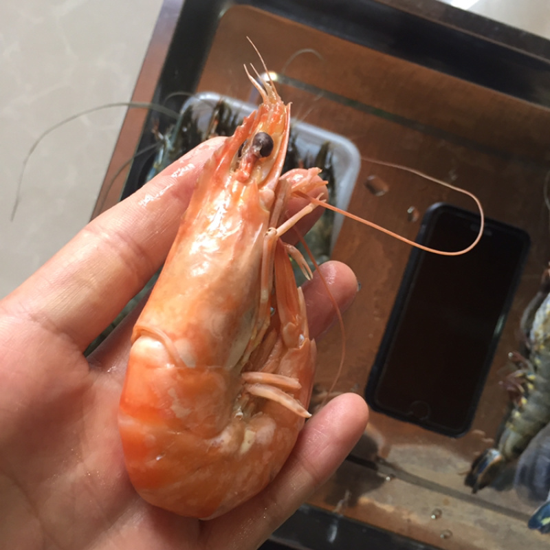 12头10头草虾越南黑虎虾