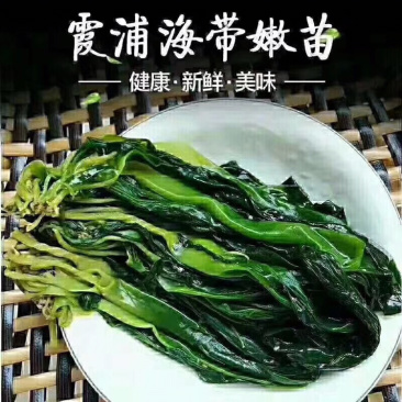 海带芽250克/包