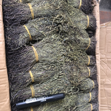 新货野生独脚金扎小把的精品