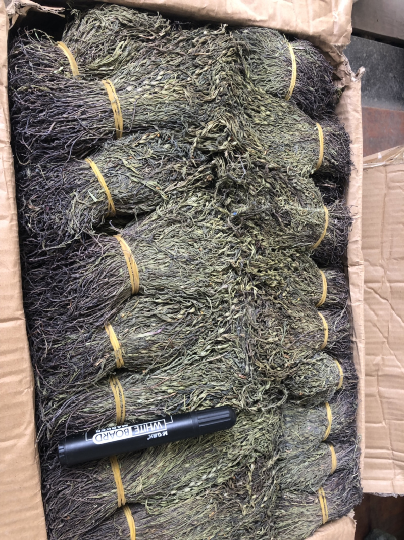 新货野生独脚金扎小把的精品