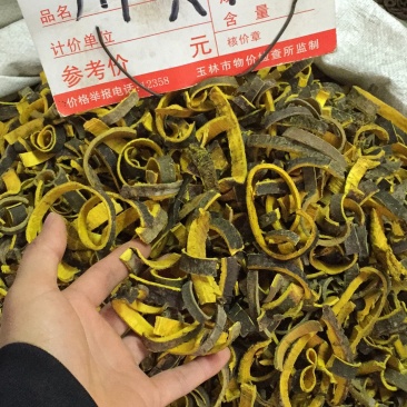 新货黄柏过筛的条子规格都有