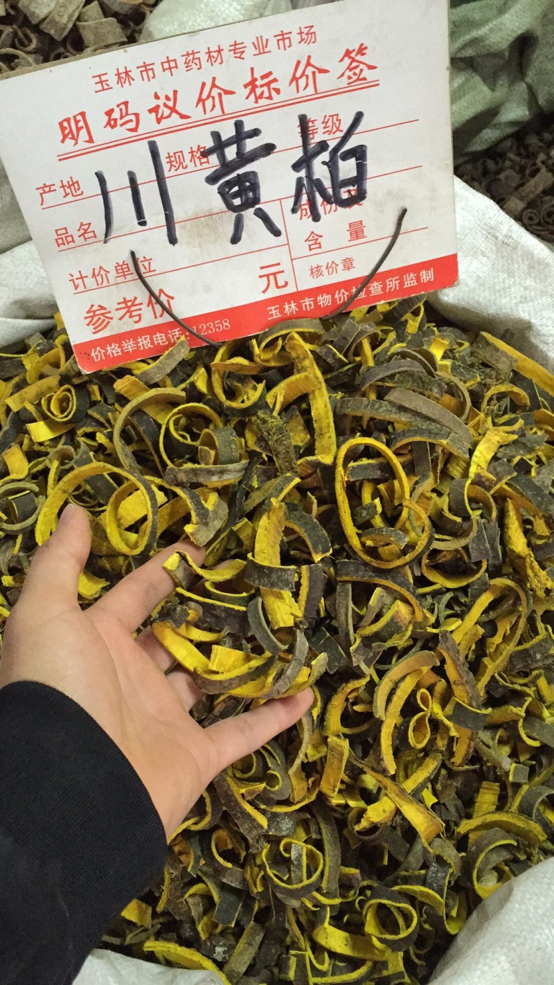 新货黄柏过筛的条子规格都有