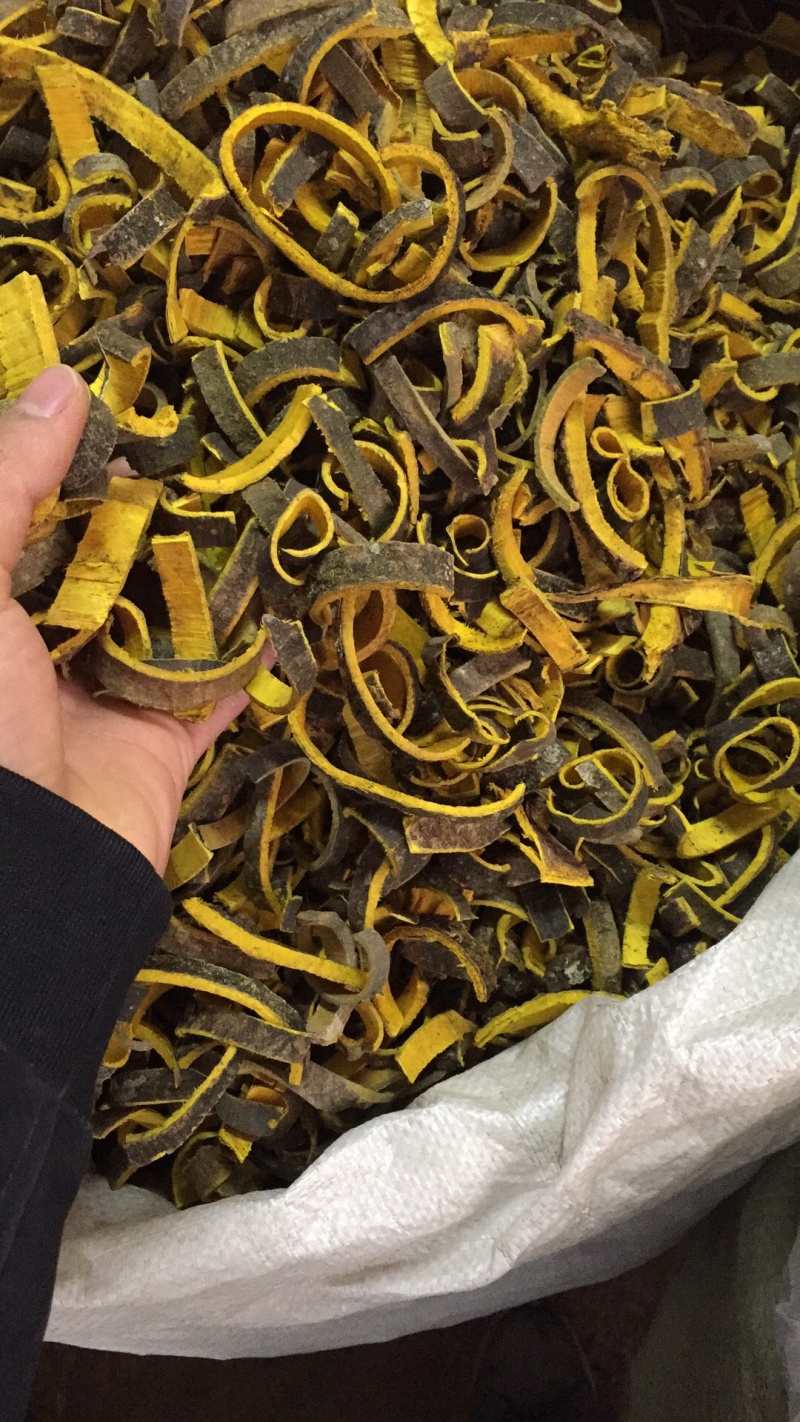 新货黄柏过筛的条子规格都有