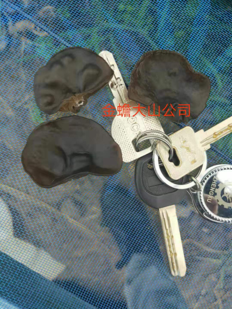 黑木耳干品供应东北品种黑木耳多筋黑木耳