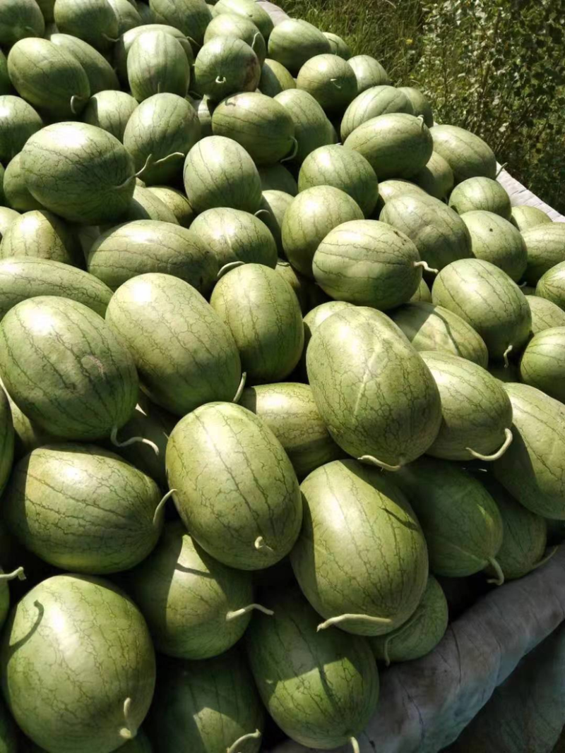 特小凤