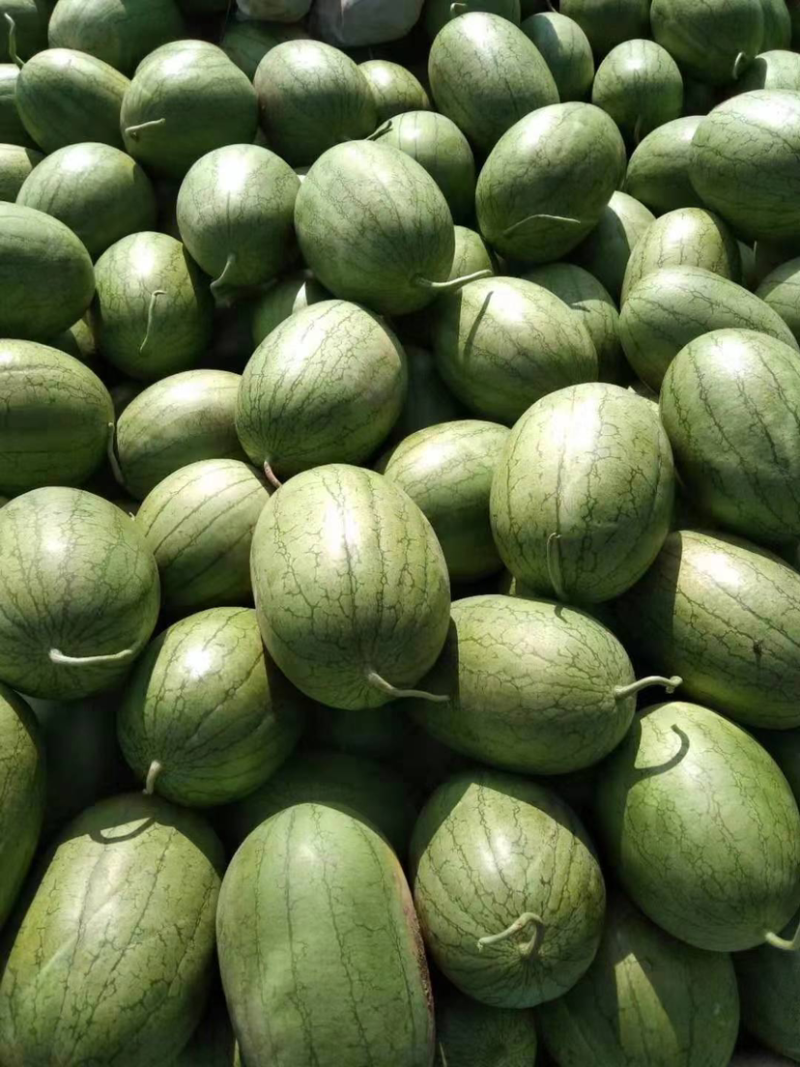 特小凤