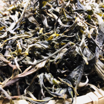 云南普洱茶生茶2019古树春茶传统手工艺1000g散装全