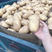 沙地荷兰土豆、规格齐全、现货现发、保证质量