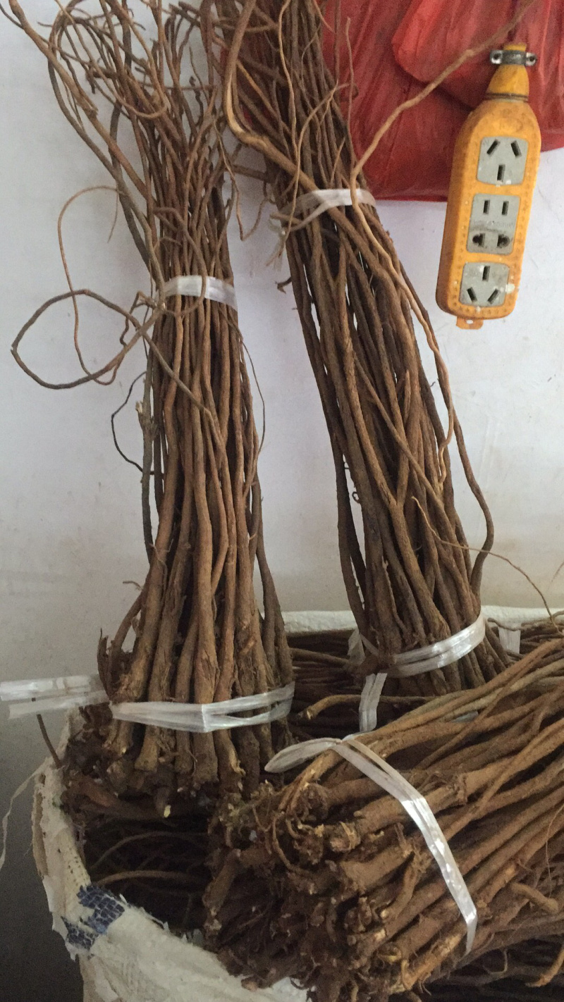 红皮千斤拔常年供应各种规格
