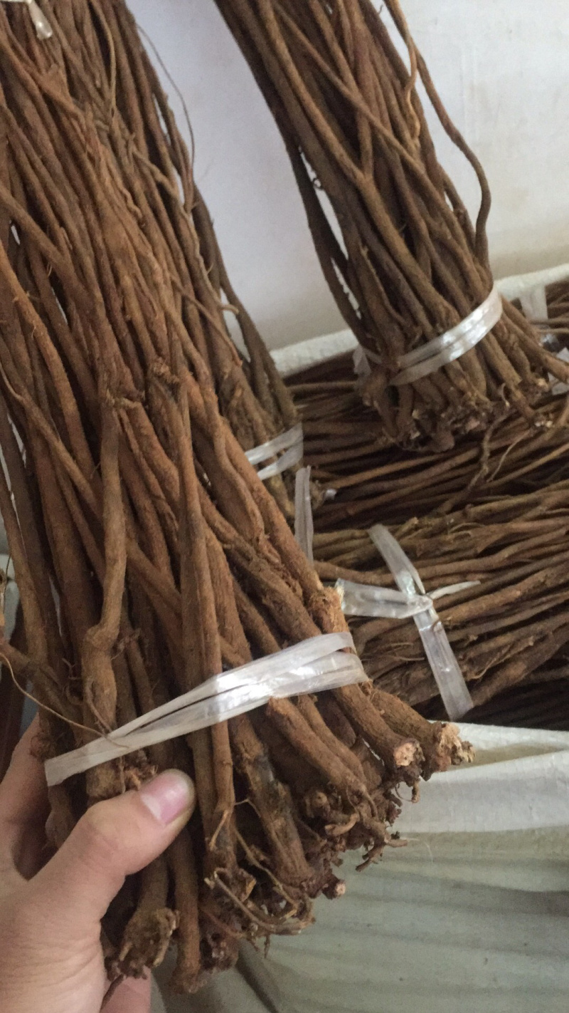 红皮千斤拔常年供应各种规格