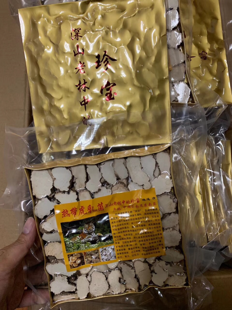 虎乳菌中号/包250克
