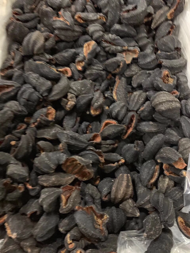 海参皮参红极参足干