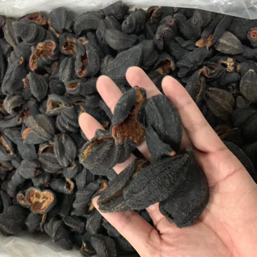 海参皮参红极参足干