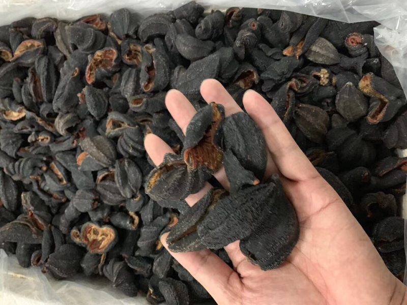 海参皮参红极参足干