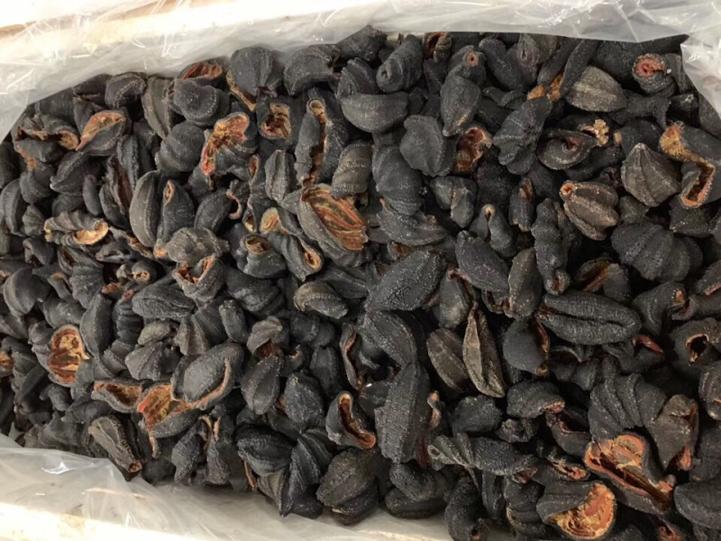 海参皮参红极参足干