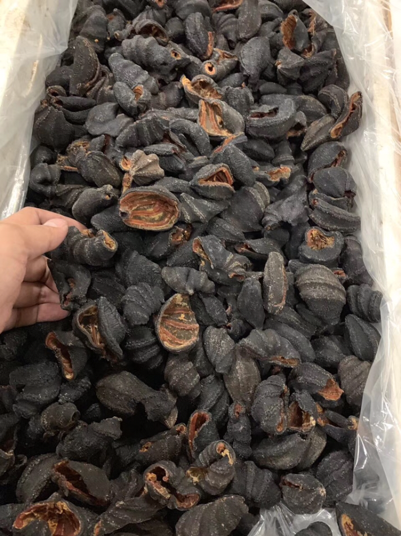 海参皮参红极参足干