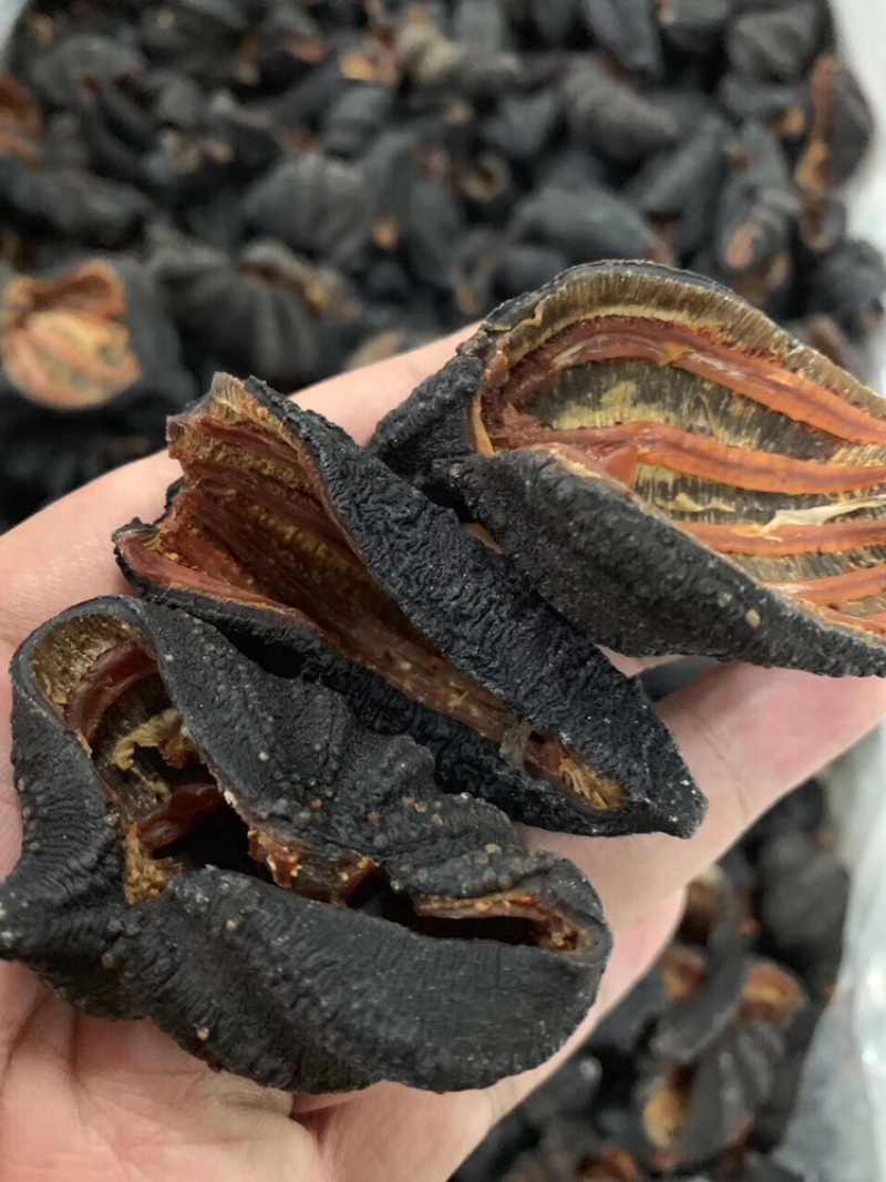 海参皮参红极参足干
