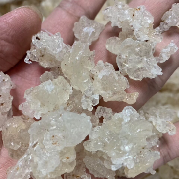雪燕最好的拉丝雪燕