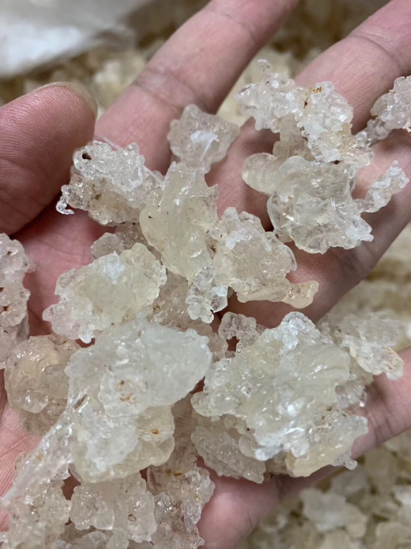 雪燕最好的拉丝雪燕