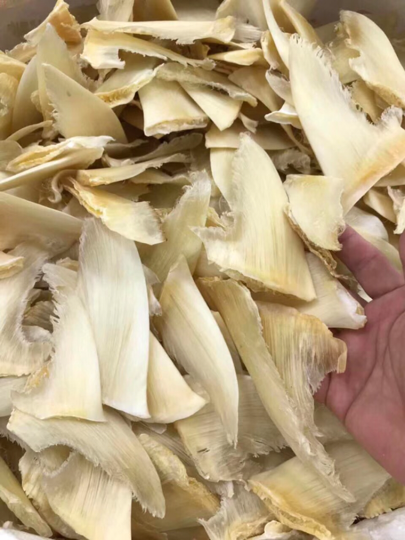 鱼翅，净头青勾金勾