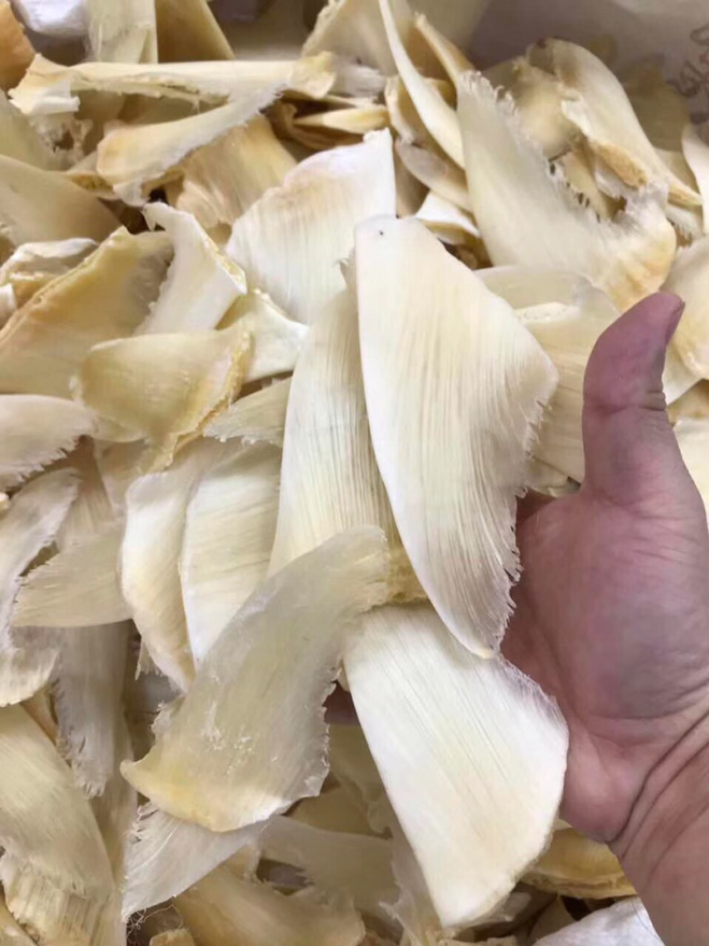鱼翅，净头青勾金勾