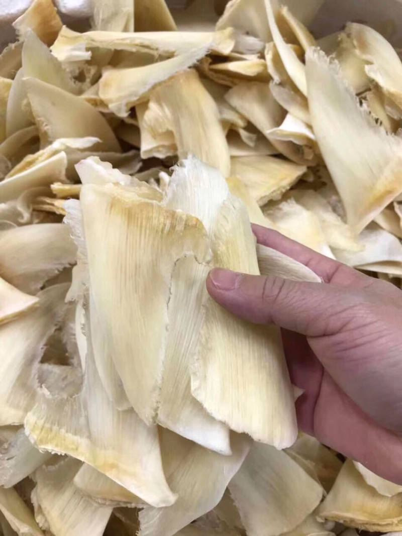 鱼翅，净头青勾金勾