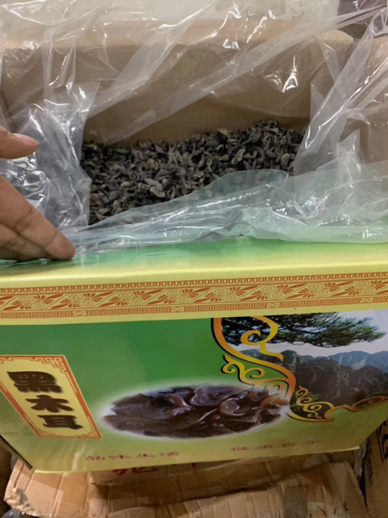 老鼠黑木耳