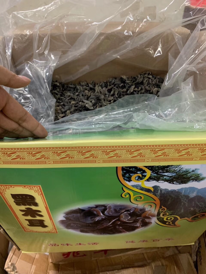 老鼠黑木耳