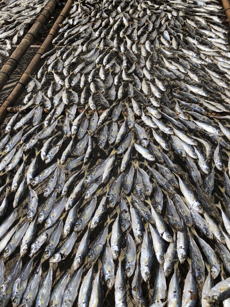 东山岛黄尾巴浪鱼干纯淡干无盐即食包邮