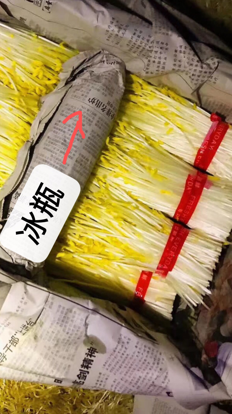 芽苗菜